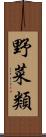 野菜類 Scroll