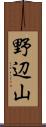 野辺山 Scroll