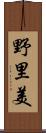 野里美 Scroll