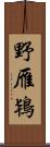 野雁 Scroll