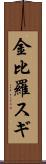 金比羅スギ Scroll