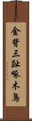金背三趾啄木鳥 Scroll