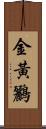 金黃鸝 Scroll