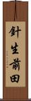 針生前田 Scroll