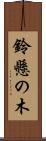 鈴懸の木 Scroll