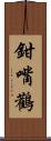鉗嘴鸛 Scroll