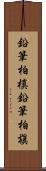 鉛筆柏槙 Scroll