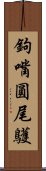 鉤嘴圓尾鸌 Scroll