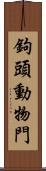鉤頭動物門 Scroll