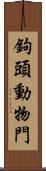 鉤頭動物門 Scroll