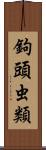 鉤頭虫類 Scroll