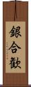 銀合歓 Scroll