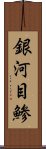 銀河目鯵 Scroll