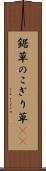 鋸草 Scroll