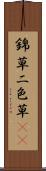 錦草 Scroll