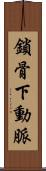 鎖骨下動脈 Scroll