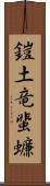 鎧土竜蜚蠊 Scroll