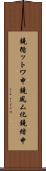 鐃循ットワ申鐃夙ム化鐃緒申 Scroll