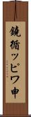 鐃循ッピワ申 Scroll