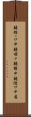 鐃循ッワ申鐃順ク鐃緒申鐃縦ワ申属 Scroll
