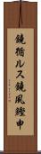 鐃循ルス鐃夙鰹申 Scroll