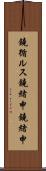 鐃循ルス鐃緒申鐃緒申 Scroll