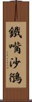 鐵嘴沙鴴 Scroll