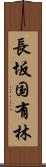 長坂国有林 Scroll