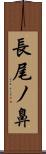 長尾ノ鼻 Scroll