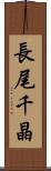 長尾千晶 Scroll