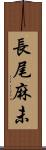 長尾麻未 Scroll