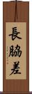 長脇差 Scroll