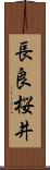 長良桜井 Scroll