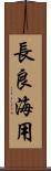 長良海用 Scroll