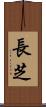 長芝 Scroll