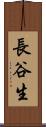 長谷生 Scroll