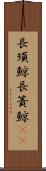長須鯨 Scroll