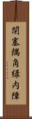閉塞隅角緑内障 Scroll