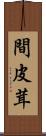 間皮茸 Scroll