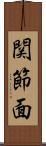 関節面 Scroll