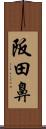 阪田鼻 Scroll