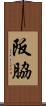 阪脇 Scroll
