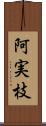 阿実枝 Scroll