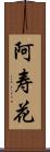阿寿花 Scroll