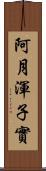 阿月渾子實 Scroll