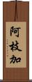 阿枝加 Scroll