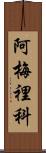 Americo Scroll