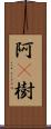 阿棃樹 Scroll