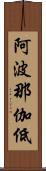 阿波那伽低 Scroll