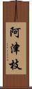 阿津枝 Scroll